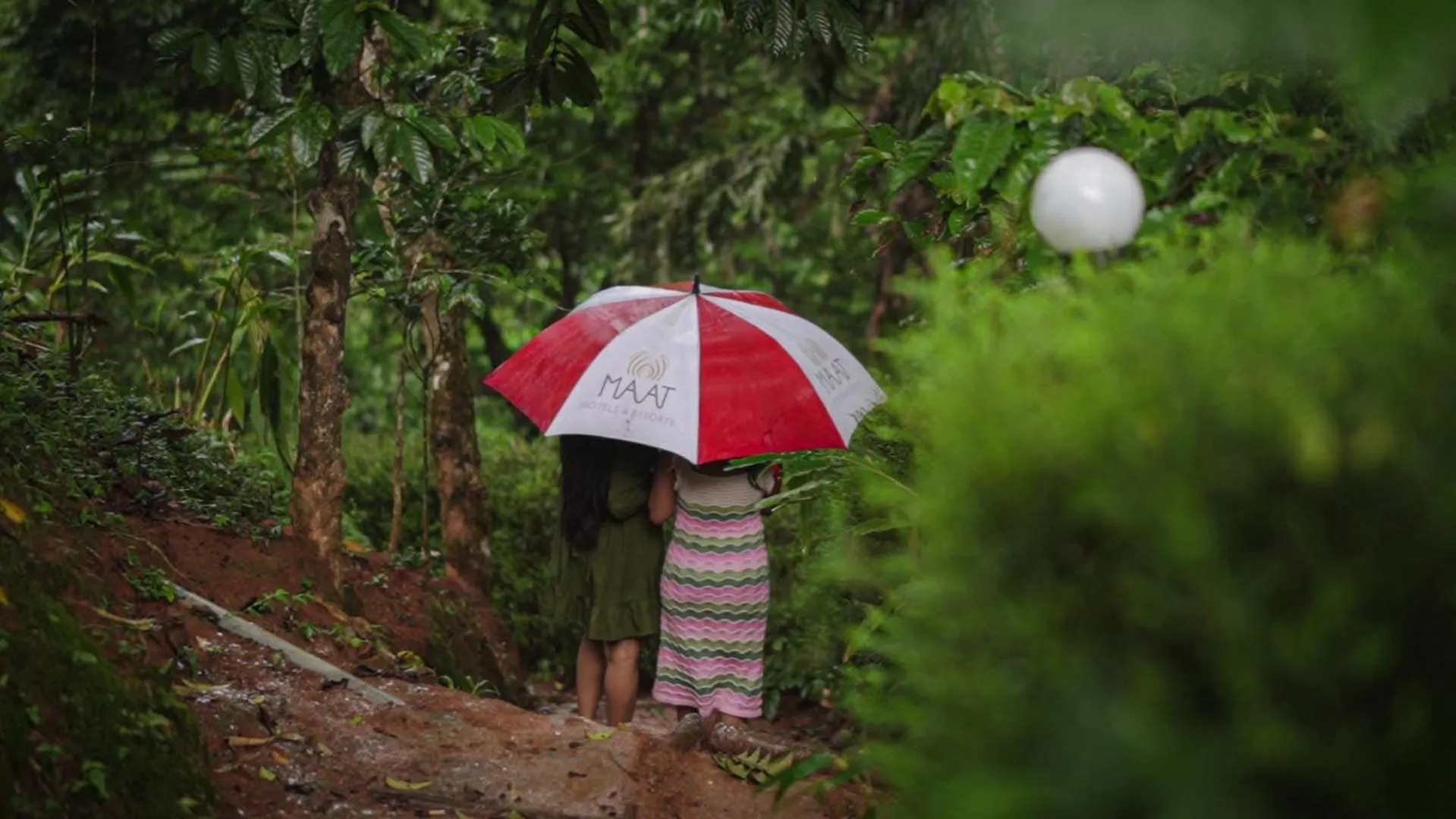 Ela Ecoland Nature Retreat Munnar India