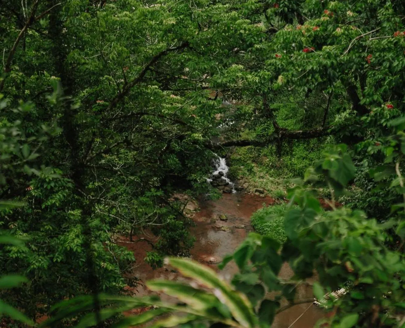 Ela Ecoland Nature Retreat Munnar 3*,