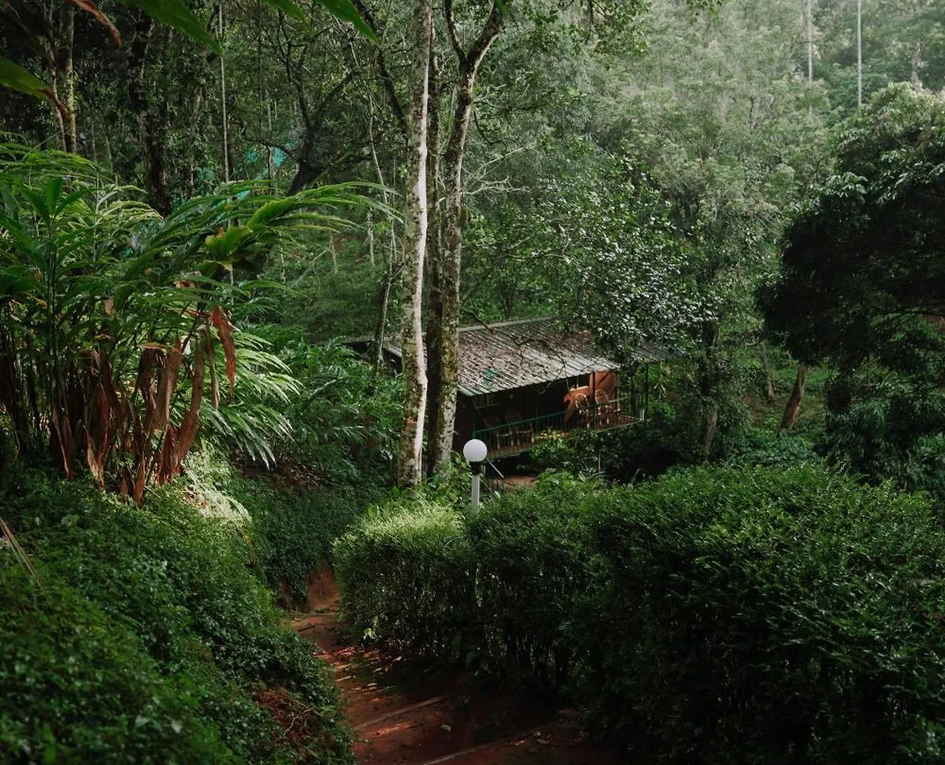 Rezort Ela Ecoland Nature Retreat Munnar
