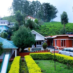 Golden Green Munnar