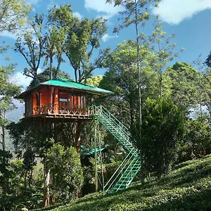 Dream Catcher Plantation Munnar