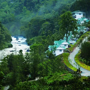 Rivulet Munnar