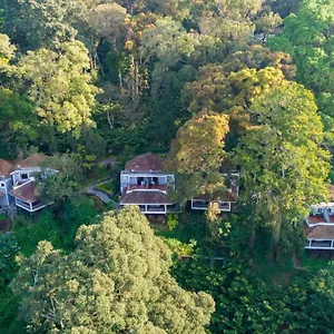 The Tall Trees Munnar