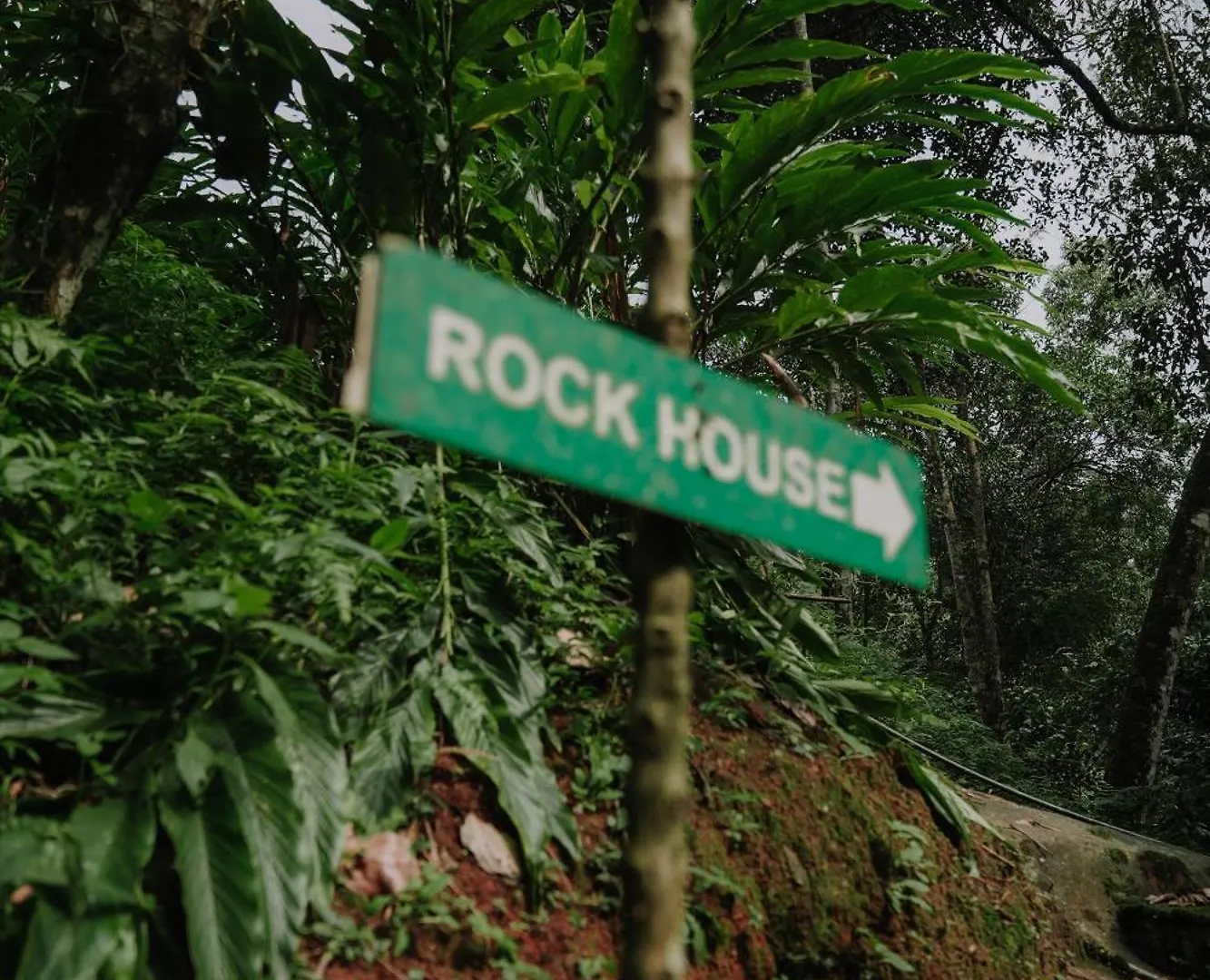 Ela Ecoland Nature Retreat Munnar Resort