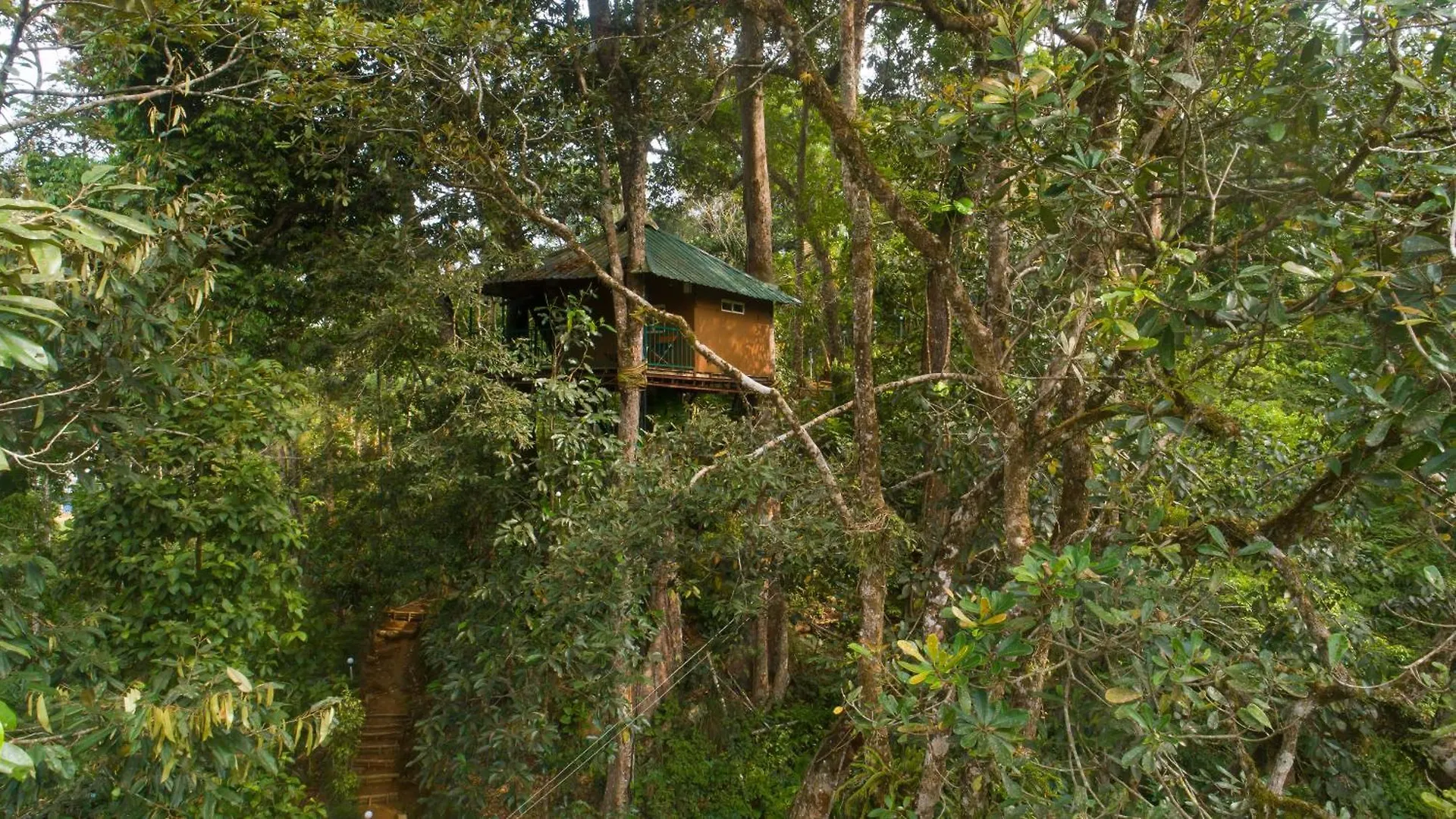 Hotel Ela Ecoland Nature Retreat à Munnar Inde