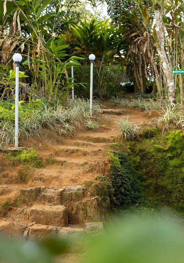 Ela Ecoland Nature Retreat Munnar