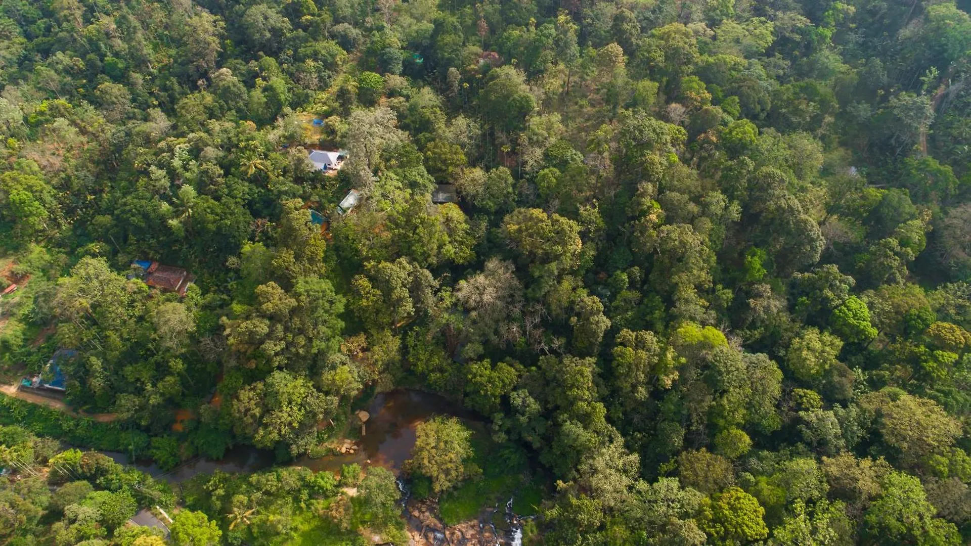 Ela Ecoland Nature Retreat Munnar Inde
