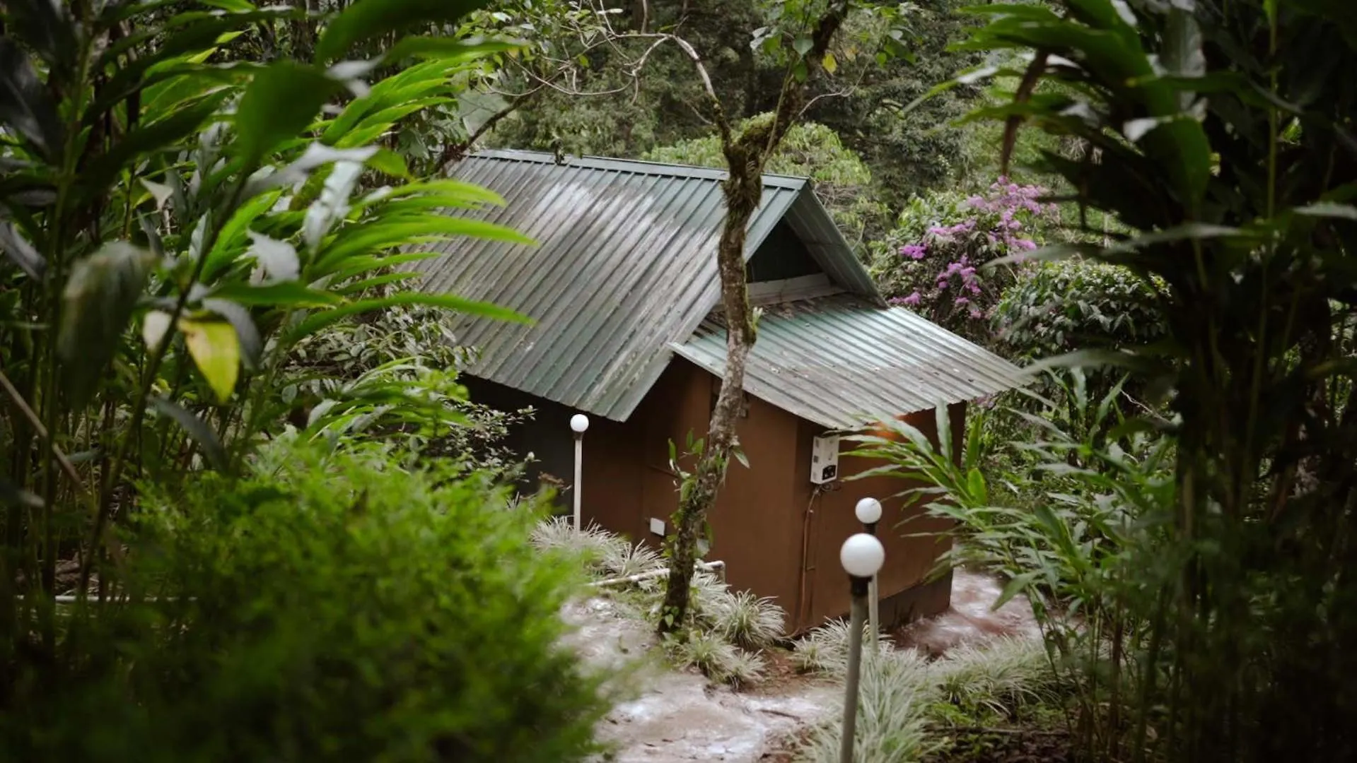 Station touristique Ela Ecoland Nature Retreat Munnar