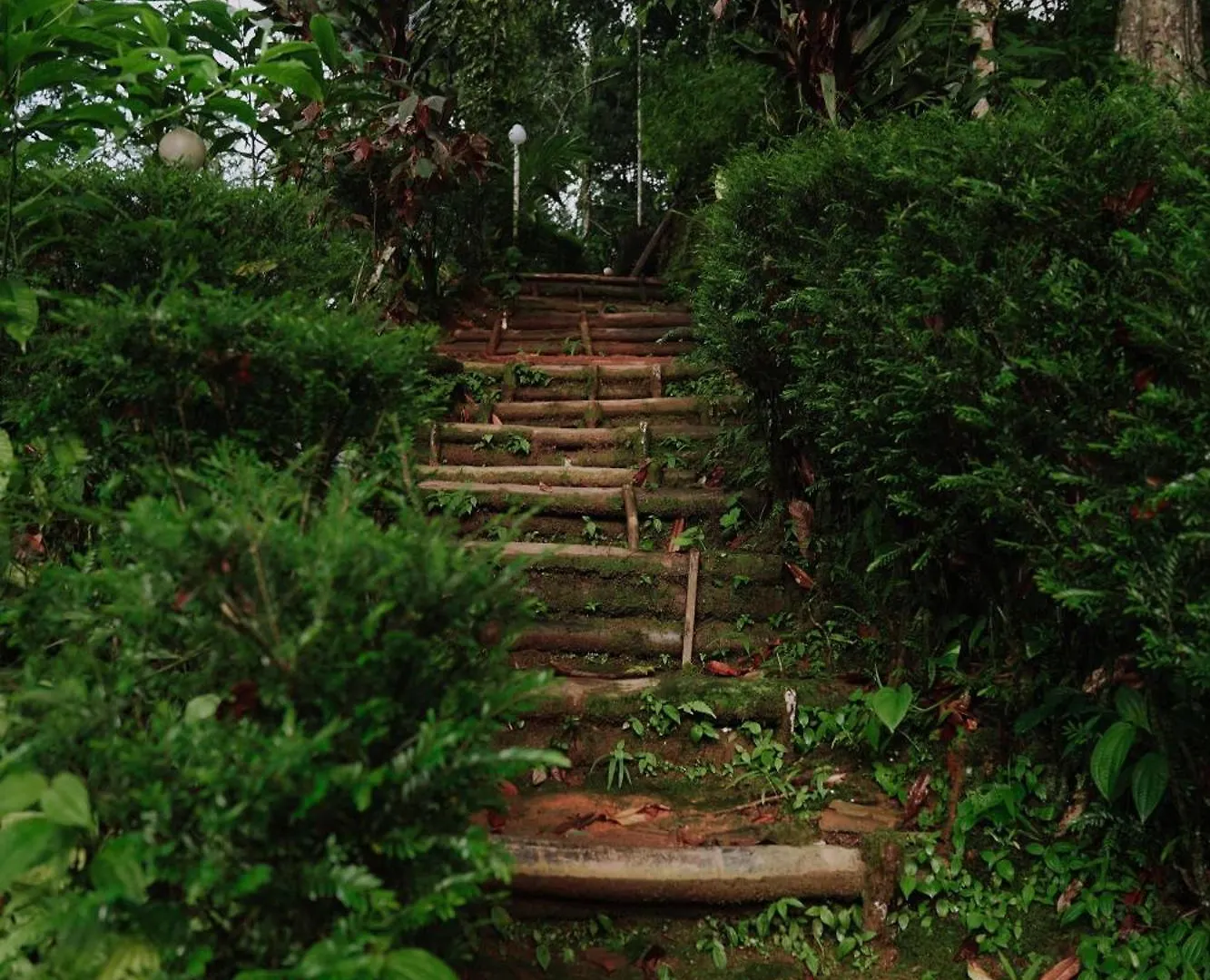 Station touristique Ela Ecoland Nature Retreat Munnar