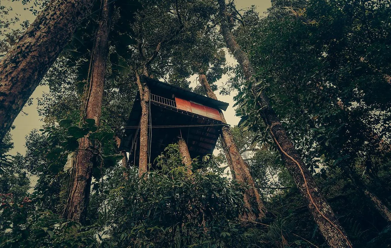 Ela Ecoland Nature Retreat Munnar Station touristique
